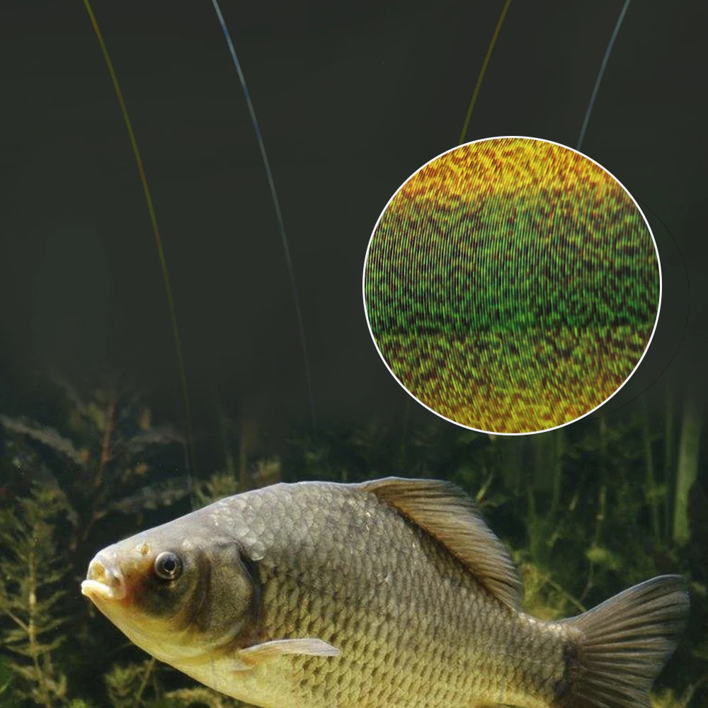 FTK Kalastussiima 300/500 m – Fluorocarbon-päällyste, 0,14–0,50 mm, 4–34 LB
