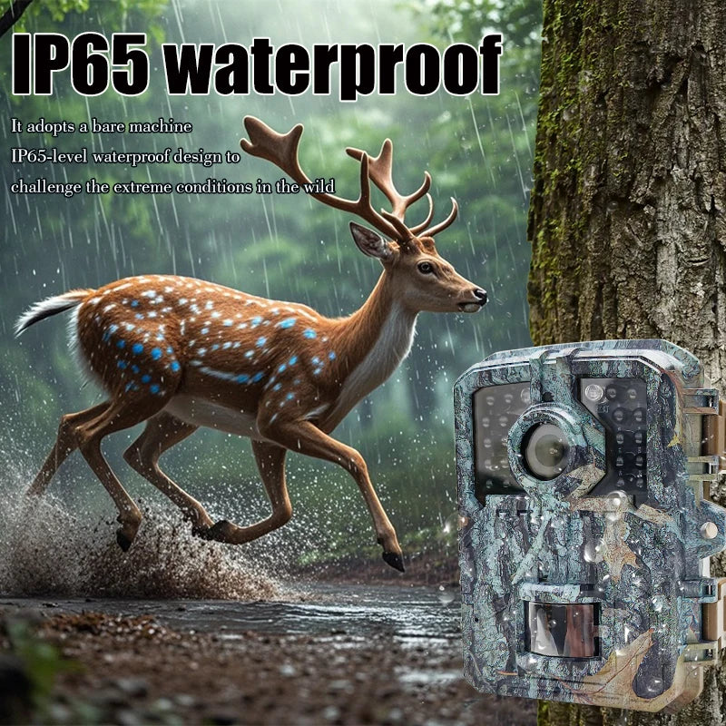 Mini riistakamera 16MP