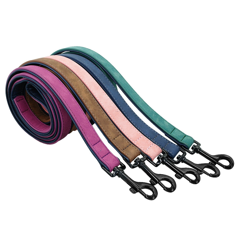 Koiran panta ja hihna